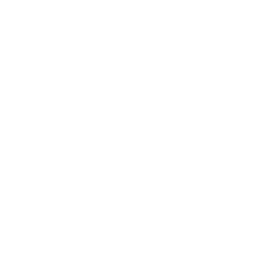 Intuición Animalia