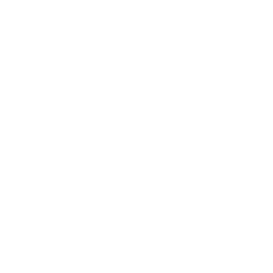 Intuición Animalia