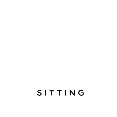 Soul Pet Sitting