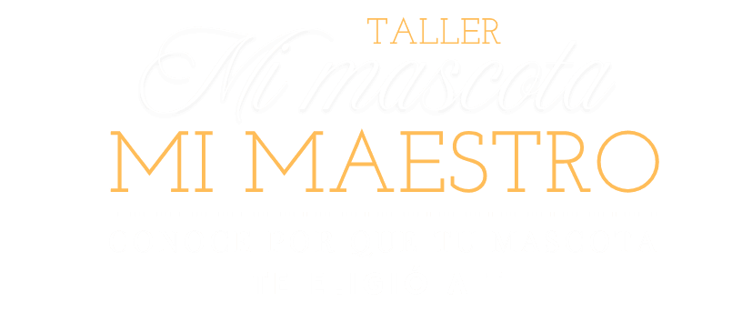 Taller Mi Mascota, Mi Maestro - Conoce por qué tu mascota te eligió a ti